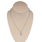Texas Necklace in Silver Toned Metal and Stainless Steel