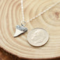 Shark Tooth Necklace in Sterling Silver