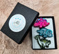 Dinosaur Polymer Clay Magnets. Set of 3. Triceratops, Brachiosaurus, Stegosaurus. Handmade.