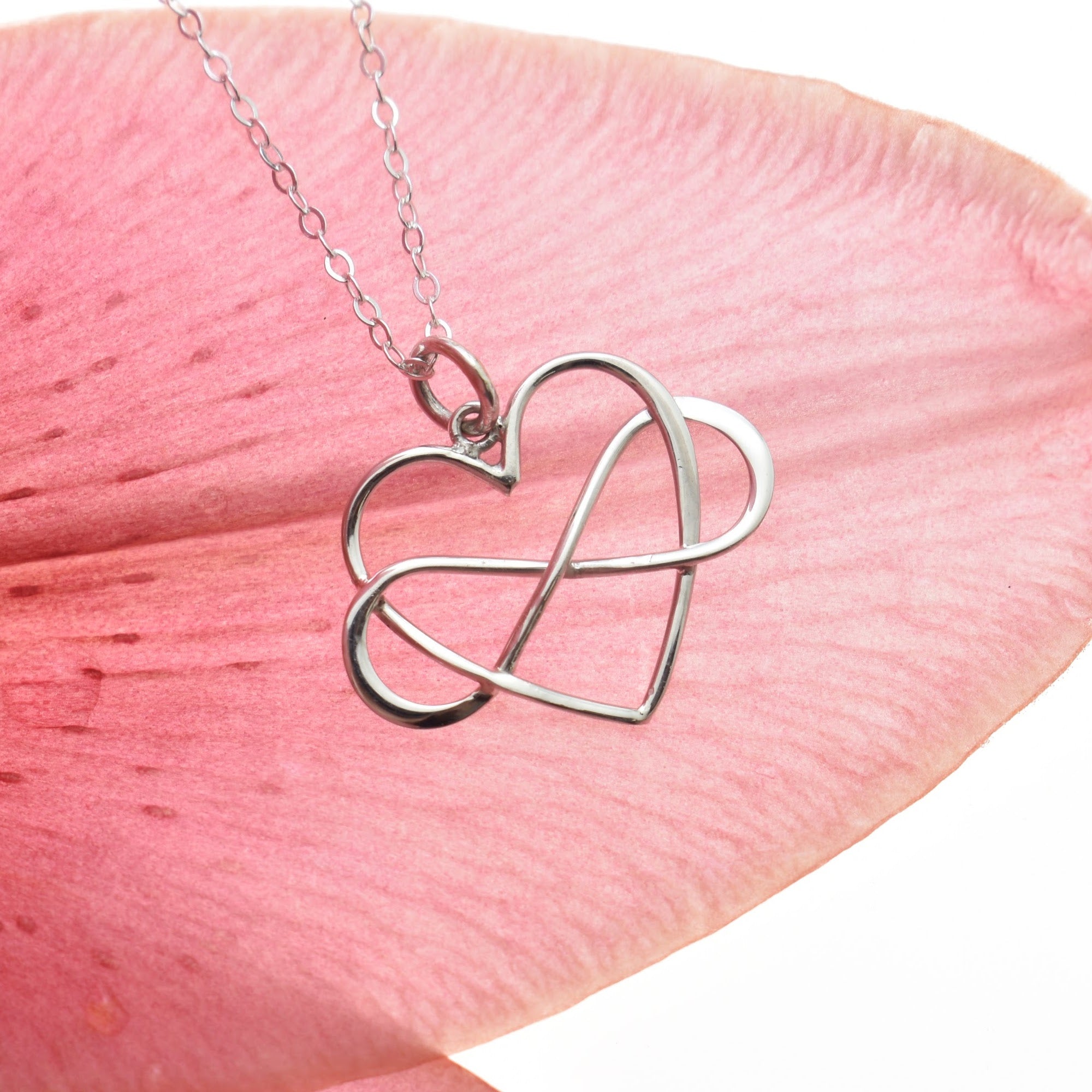 Daughter in Law Infinity Heart Necklace in Sterling Silver - Buy with Prime